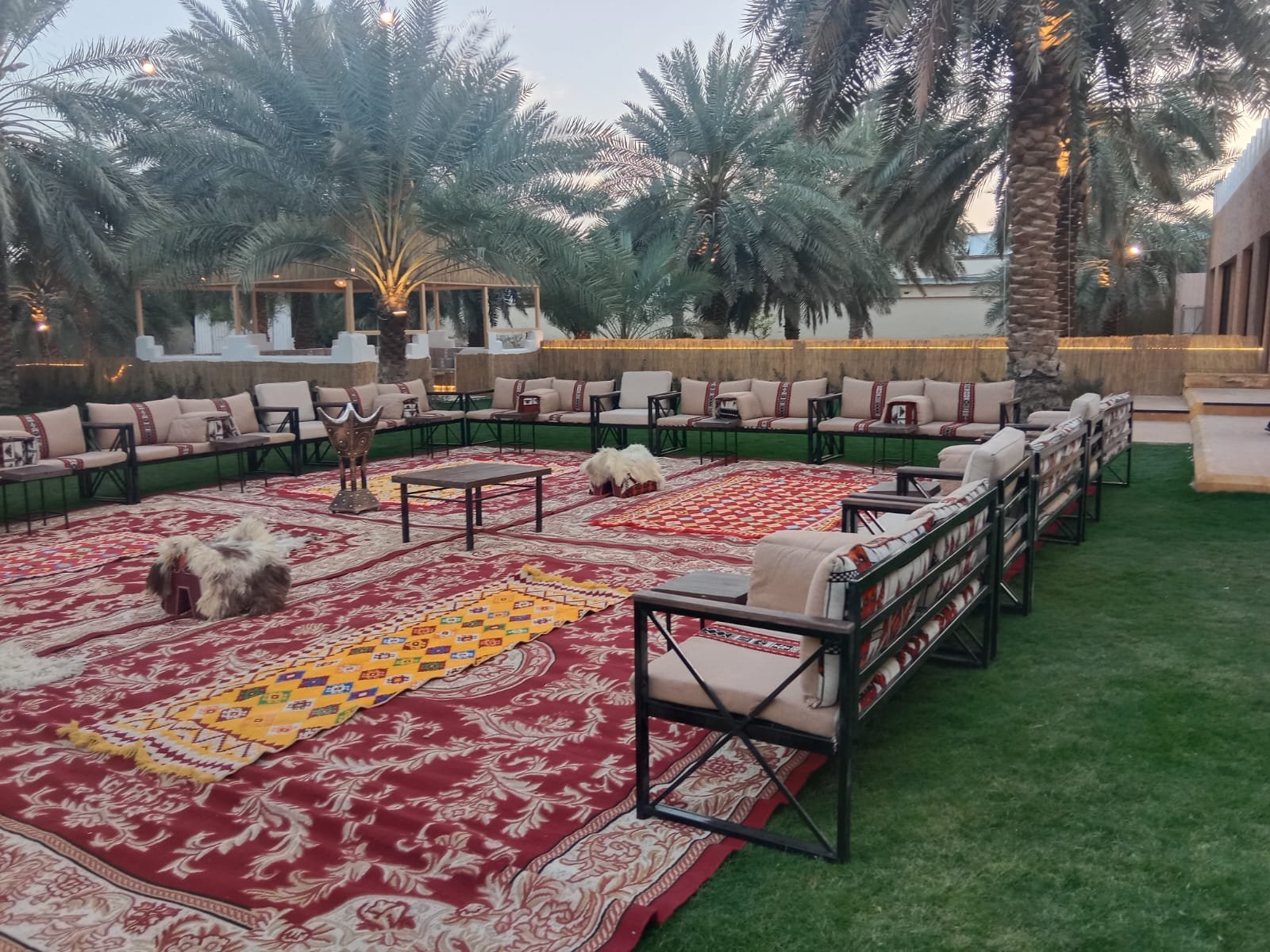 جلسة تراثية خارجية بسجاد أحمر ونخيل